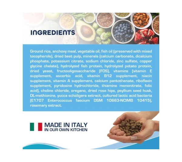 Forza10 Active Intestinal Support Diet Dry Dog Food - 6-lb bag