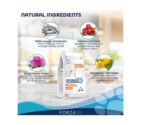 Forza10 Active Kidney Renal Support Diet Dry Dog Food - 8.8-lb bag