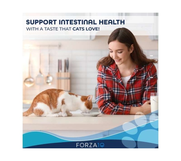 Forza10 Active Intestinal Support Diet Dry Cat Food - 4-lb bag