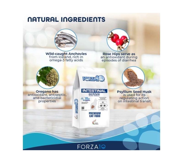 Forza10 Active Intestinal Support Diet Dry Cat Food - 4-lb bag
