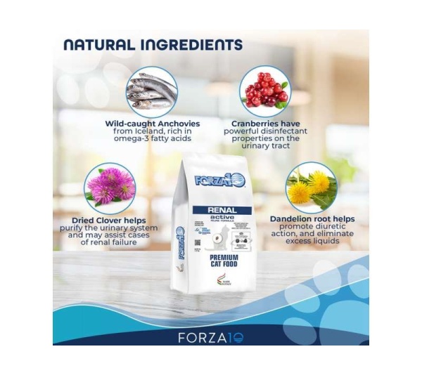 Forza10 Active Kidney Renal Support Diet Dry Cat Food - 4-lb bag