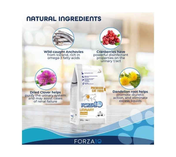 Forza10 Active Urinary Dry Cat Food - 1-lb bag