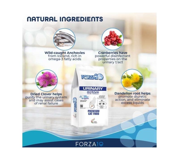 Forza10 Active Urinary Dry Cat Food - 4-lb bag