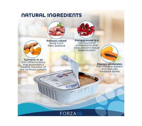 Forza10 Actiwet Hypoallergenic Canned Cat Food - 3.5-oz