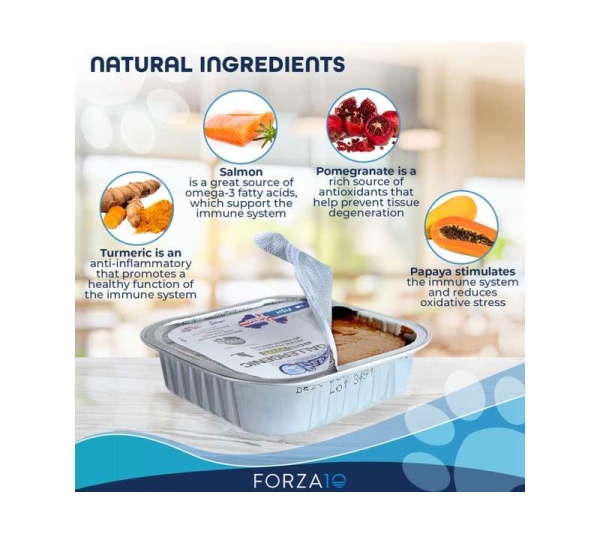 Forza10 Actiwet Hypoallergenic Icelandic Fish Recipe Canned Cat Food - 3.5-oz