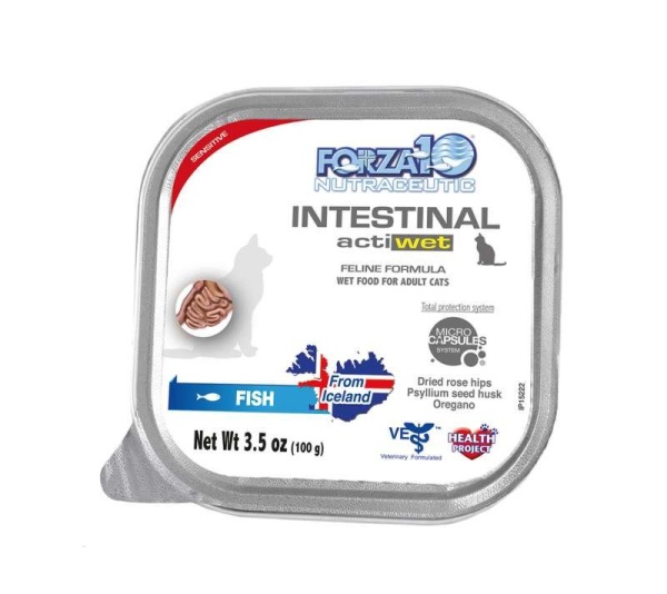 Forza10 Actiwet Intestinal Support Icelandic Fish Recipe Canned Cat Food - 3.5-oz