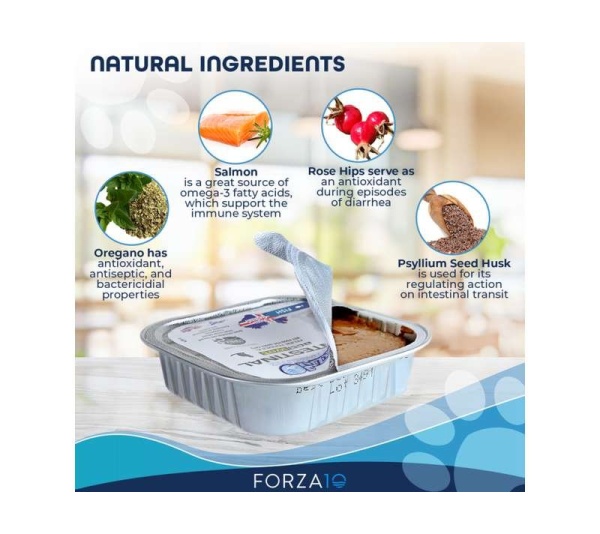 Forza10 Actiwet Intestinal Support Icelandic Fish Recipe Canned Cat Food - 3.5-oz