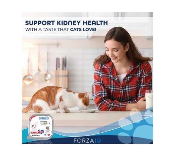 Forza10 Actiwet Renal Support Canned Cat Food - 3.5-oz