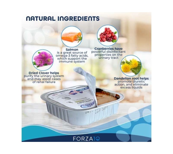 Forza10 Actiwet Urinary Support Icelandic Fish Recipe Canned Cat Food - 3.5-oz