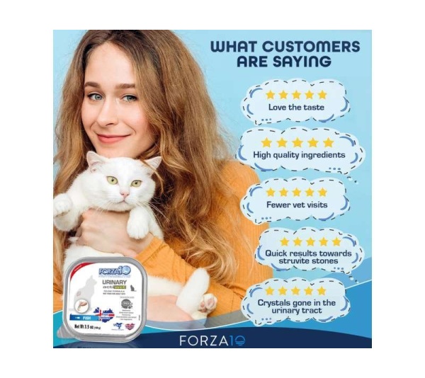 Forza10 Actiwet Urinary Support Icelandic Fish Recipe Canned Cat Food - 3.5-oz