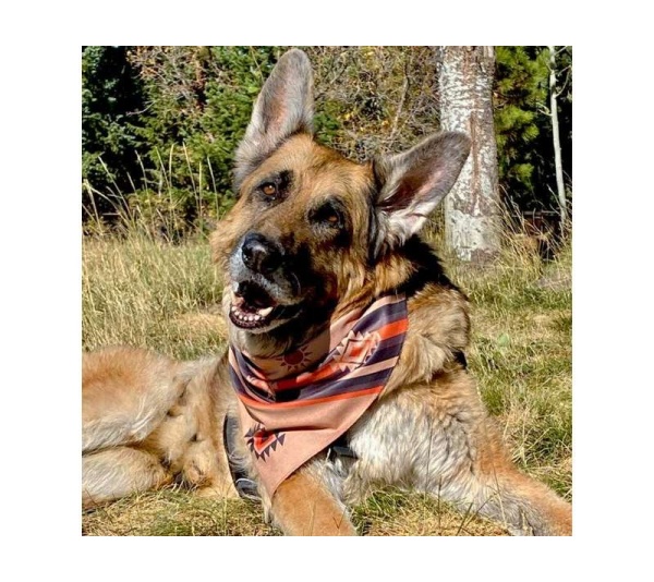 Grand Mesa - Dog Bandana - Small