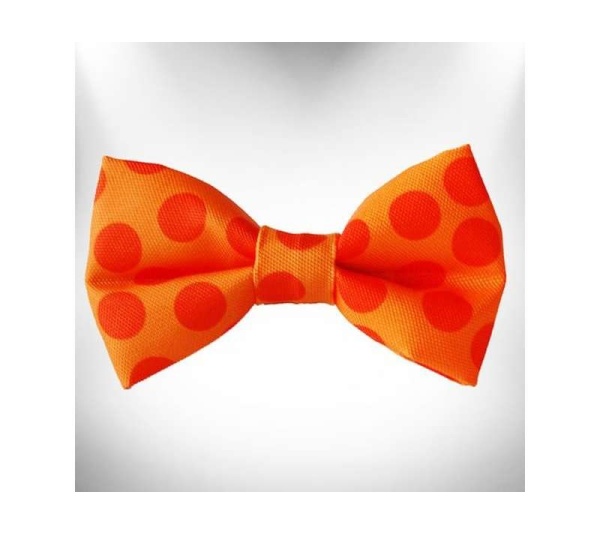 Orange - Polka Dot Dog - Monotone Bow Tie