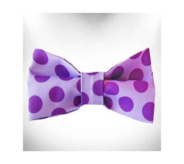 Purple - Polka Dot Dog - Monotone Bow Tie