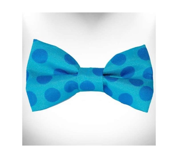 Turquoise - Polka Dot Dog - Monotone Bow Tie