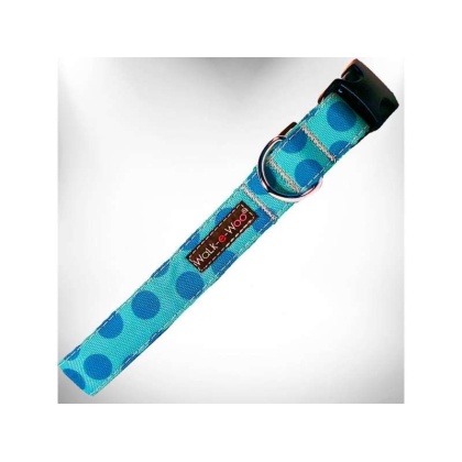 Turquoise - Polka Dot Dog - Monotone Collars - M 1" width fits 12-18" neck