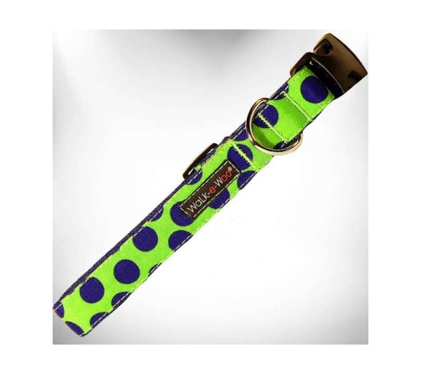 Blue Dot on Green - Polka Dot Dog - Neon Collars - M 1" width fits 12-18" neck