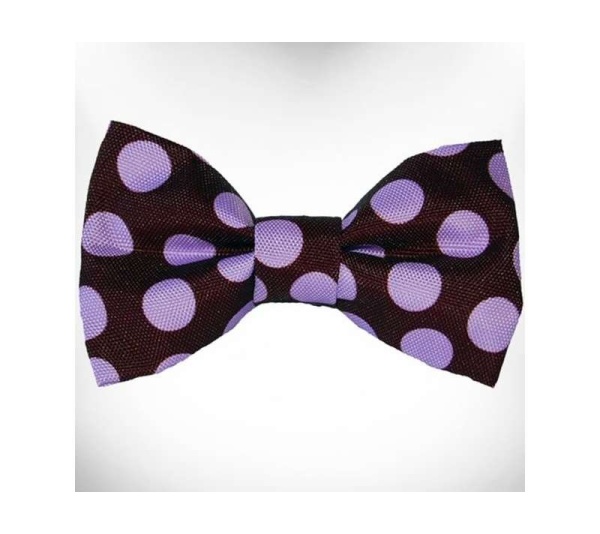 Purple Dot on Brown - Polka Dot Dog Bow Tie