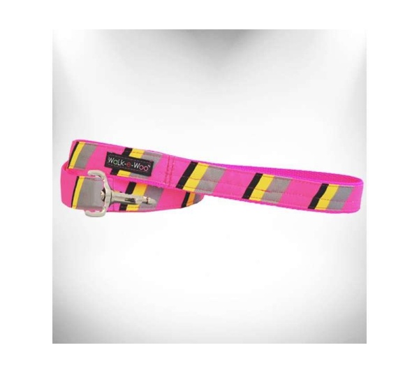 Pink/Grey  - Stripes Dog Leash - REGULAR 1" width- 5' long