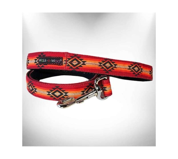 Sky Fire  - RaDog Leash - REGULAR 1" width- 5' long