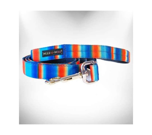 Blue/Orange - Tie Dye Dog Leads  - REGULAR Lead 1" width- 5' length