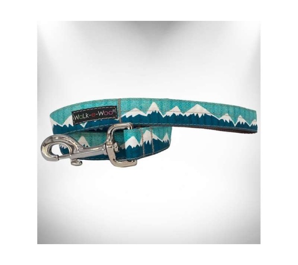 Wintergreen - Snowcap Mountain Dog Leash - REGULAR 1" width- 5' long