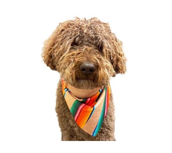 Peace - Sport Bandana  - Large