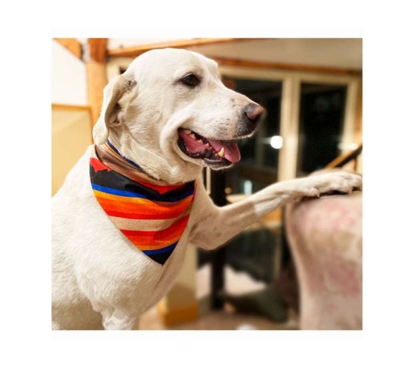 Mountain Blue - Sport Bandana  - Small