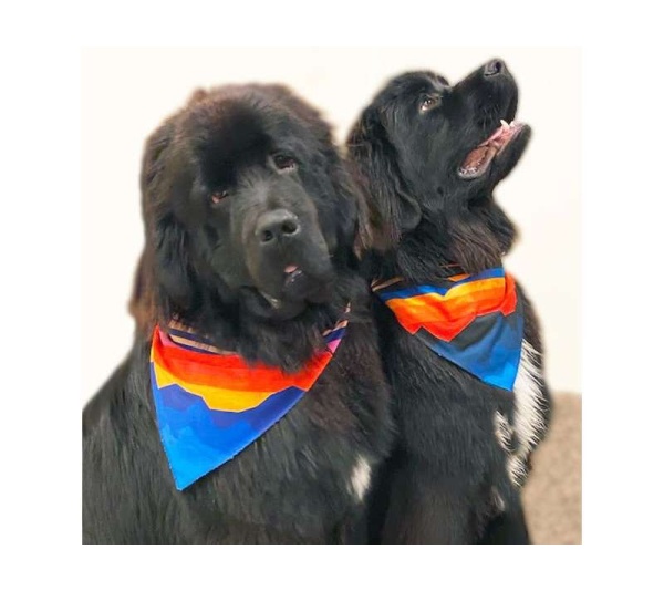 Mountain Blue - Sport Bandana  - Small