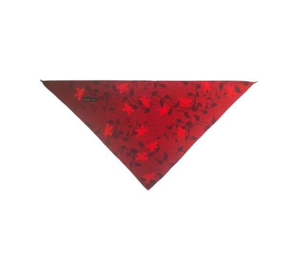 Frida - Sport Bandana  - Small