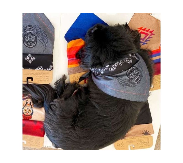 Grey Skull - Sport Bandana  - Small