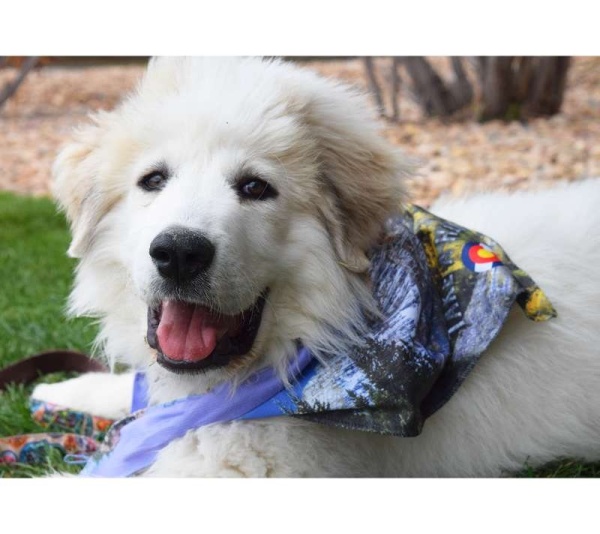 Take A Hike - Sport Bandana  - Small