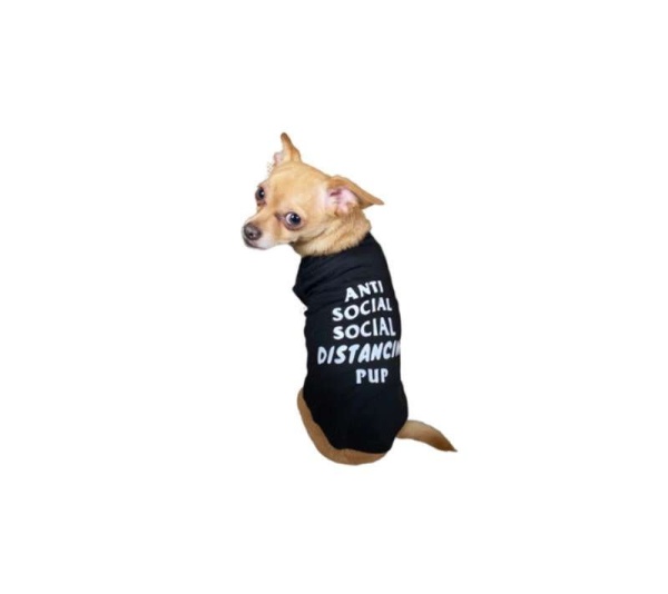Black - Anti Social Social Distancing Pup - X Large