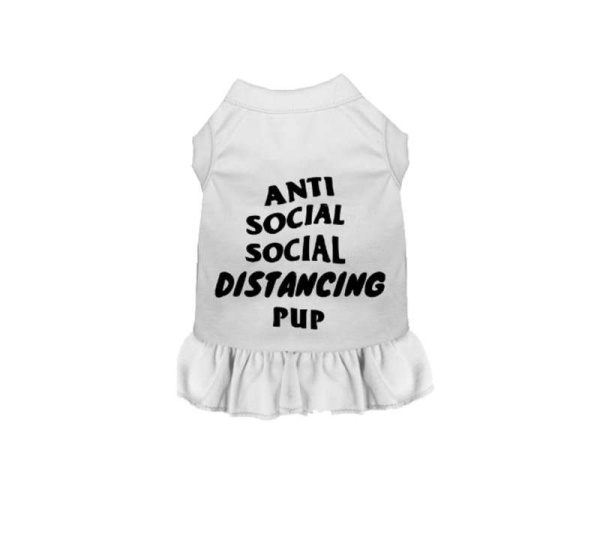 White - Anti Social Social Distancing Pup - Large