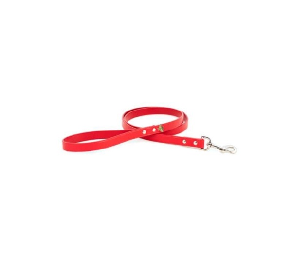 Red - Bee Mine Dog Leash