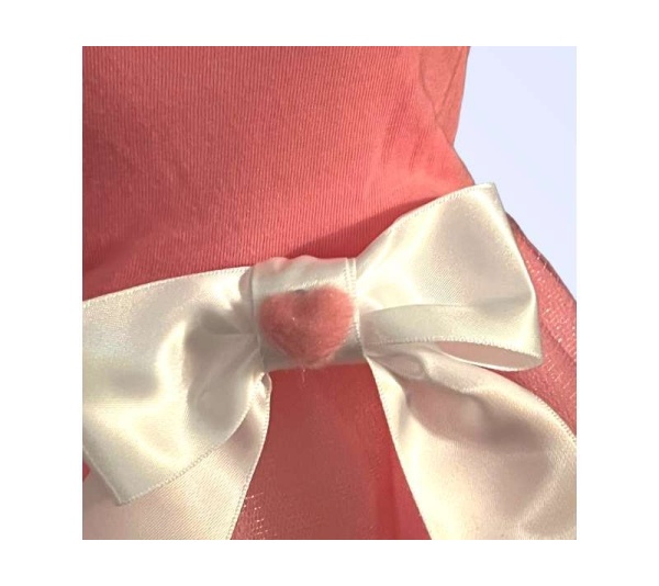 Bee Mine Valentine Dog Dress - Medium