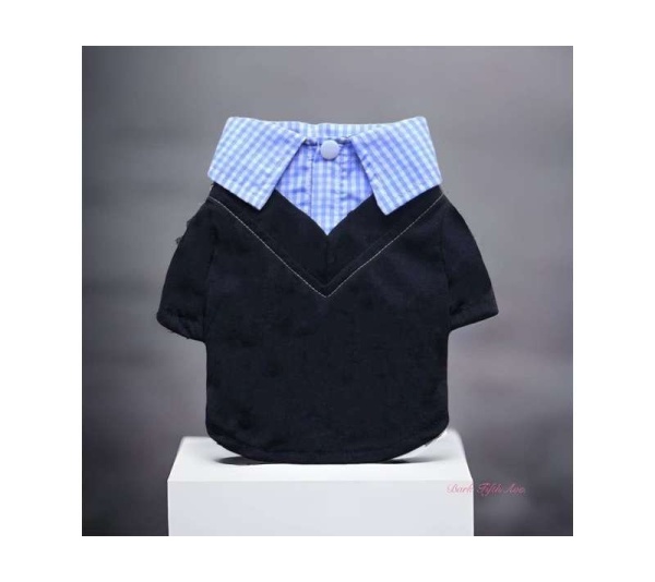 Dapper Boy Collar Dog Shirt - Large