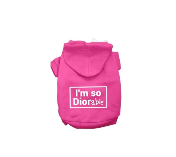 PINK - DIOR-able Hoodie - X Small