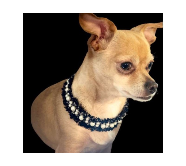 Luxurious Tweed Collar - Small