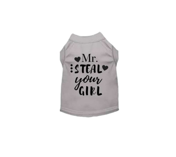Gray - Mr. Steal Your Girl - X Small