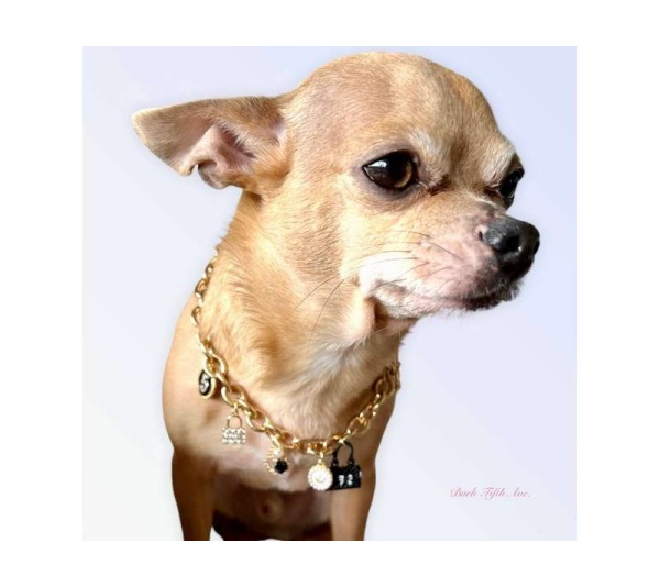 My Dainty Charm Necklace - X Small