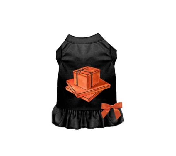 BLACK - My Favorite Color Orange - Medium