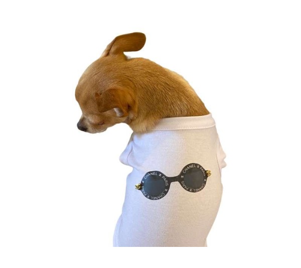 My Summer CC Sunnies - X Small