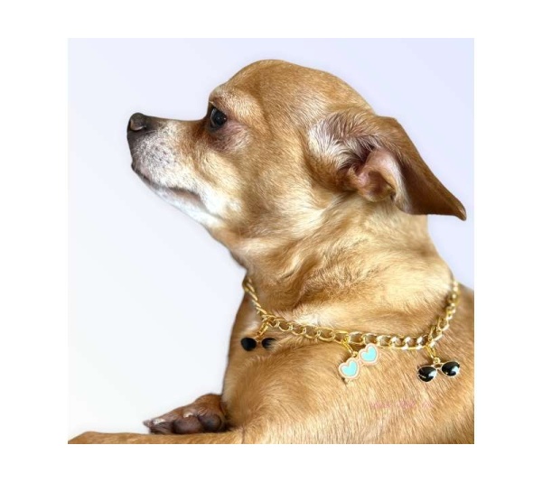 My Summertime Aviator Charm Toggle Necklace - Medium