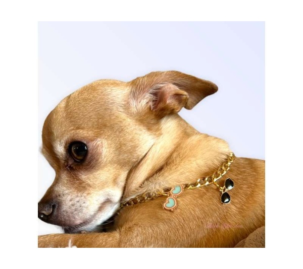 My Summertime Aviator Charm Toggle Necklace - Small