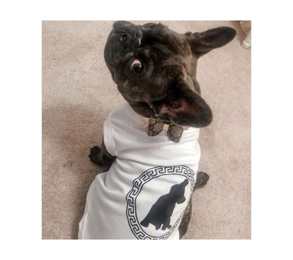 Pawsace Tee - 2X Small