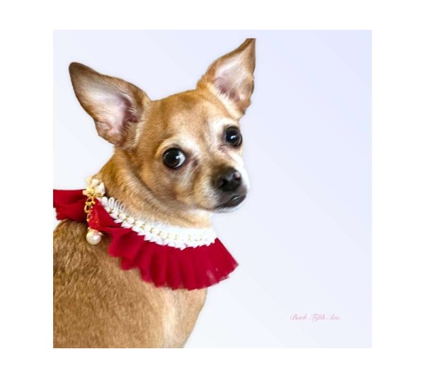 RED - Pearl Neck Ruff - Large