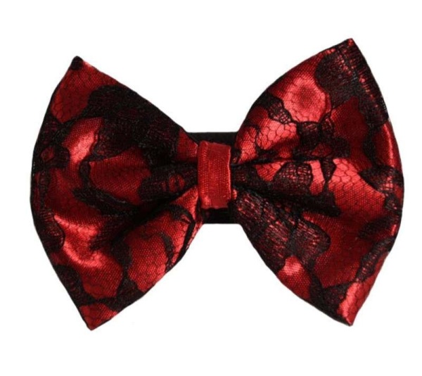 6 - PR3003|Pets Ribbons - 4"