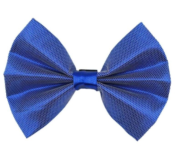 1 - PR3004|Pets Ribbons - 3"