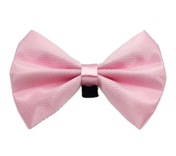 4 - PR3004|Pets Ribbons - 4"