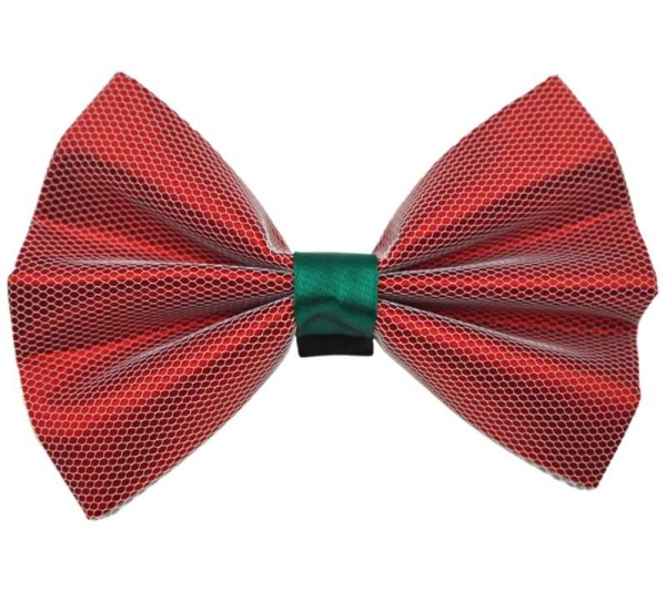 Red - PR3004X|Pets Ribbons - 4"
